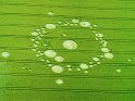 Crop Circles 04